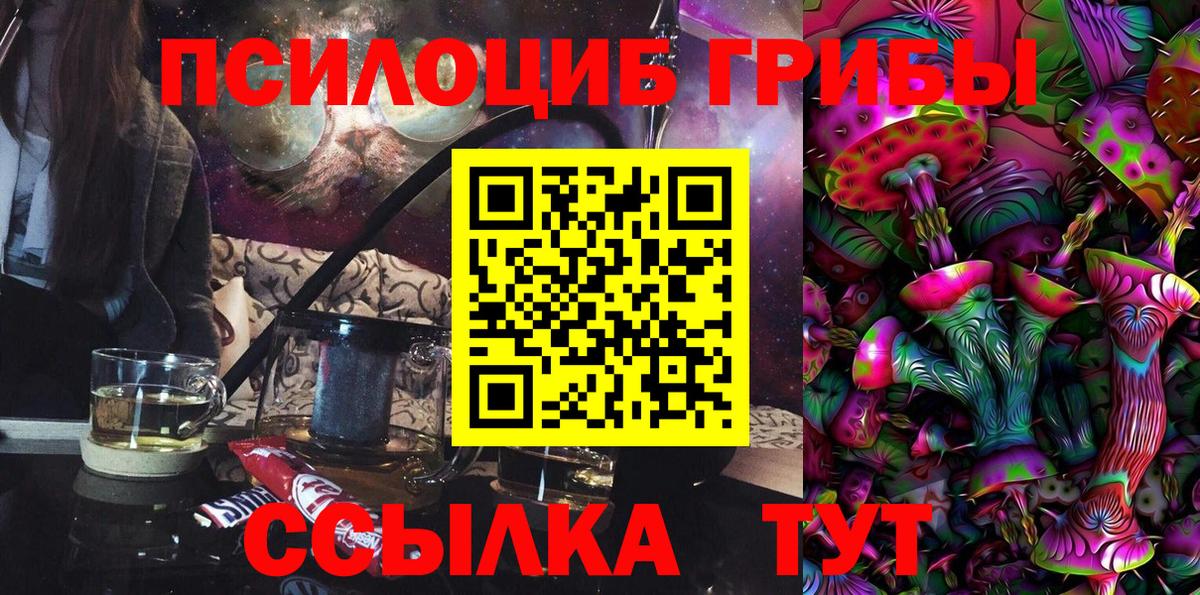 Галлюциногенные грибы Cubensis Воронеж