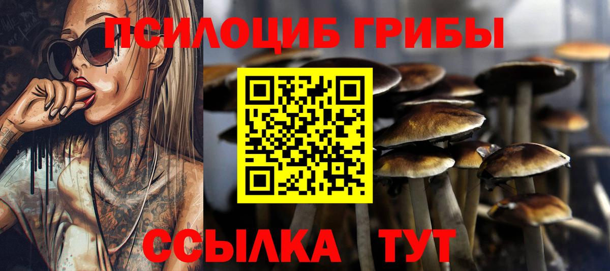 Галлюциногенные грибы прущие грибы  Вход с VPN  Воронеж 